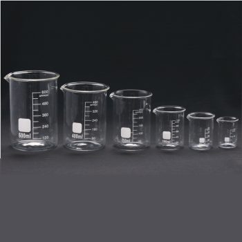 Glass Beakers Low Form